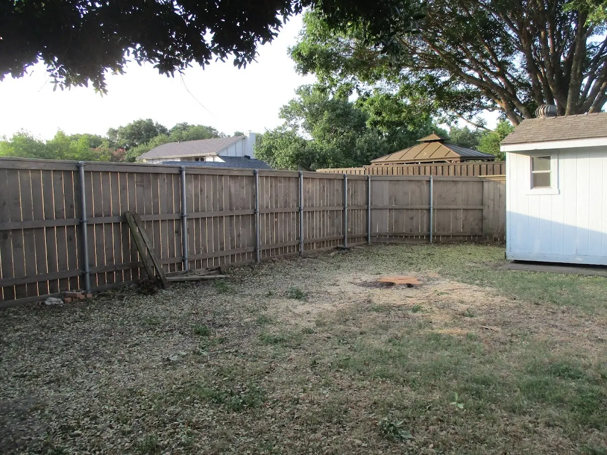 Cleared yard after professional tree removal in Kingsville